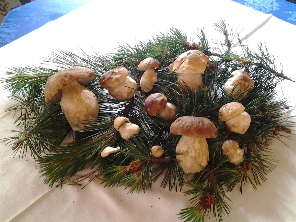 Cima Piazzi 3*